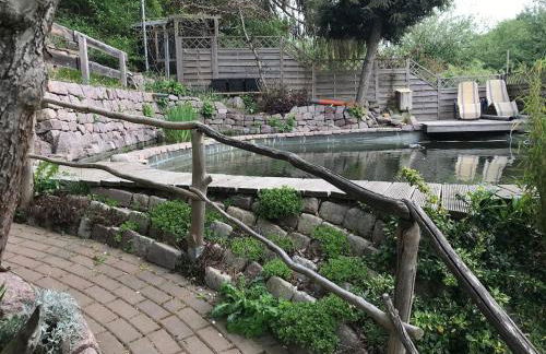 Schlupfwinkel - Foto 32