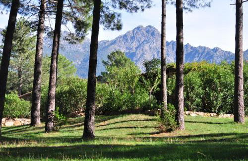 Domaine Codaleone - Foto 20