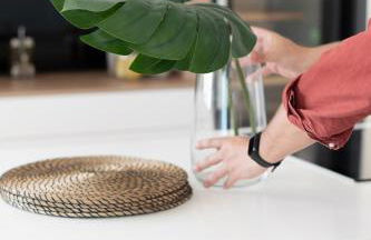 Profithome - Tabaiba Tenerife - Foto 18