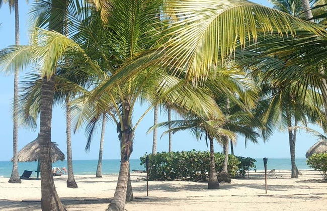 Palomino Day Trip - Foto 2