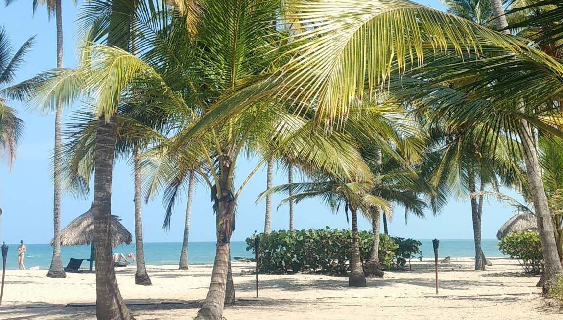 Excursion à Palomino