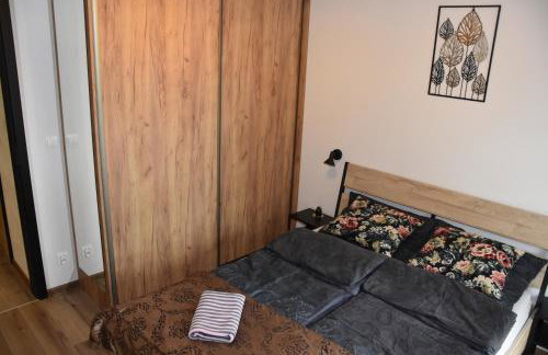 Apartament Calisia - Foto 16