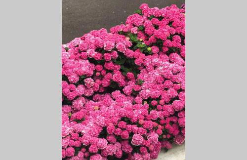 Grand appartement 4 étoiles vue mer et 2 terrasses - Foto 31