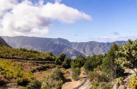 Home2Book Las Mimbreras - Foto 44