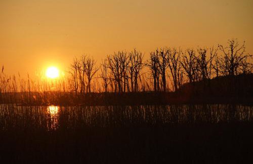 CICHAta Nad Zatoką - Foto 29