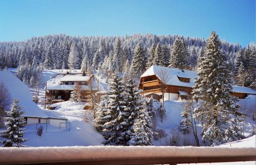 Schwarzwald-Hotel Kraeutle - Foto 69