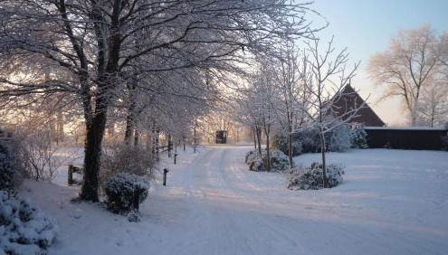 Inselhof Steengrafe - Strandblick - Foto 2