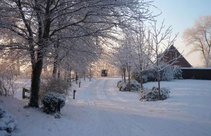 Inselhof Steengrafe - Strandblick - Foto 2