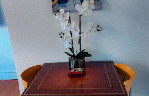 Historic Oak Park Residence - Foto 15