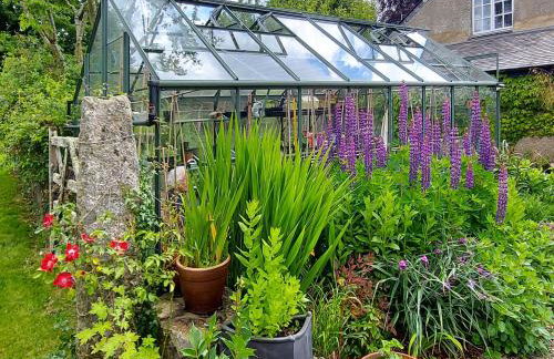 Little Forda - Foto 10