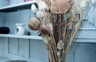 Avalon Sunrise our enchanting Glastonbury cottage - Foto 13