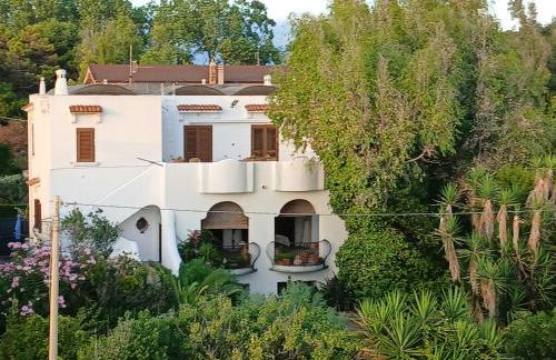 L'Eucalipto - Foto 23