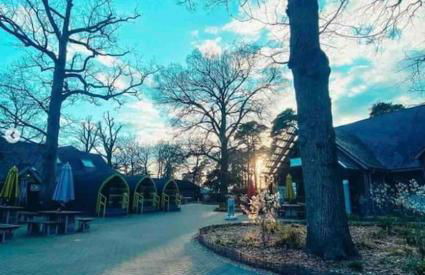 New Forest lodge - 194 NO PETS - Photo 32