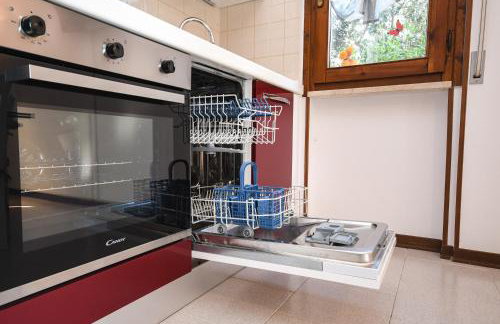 Prato Verde - Girasole - Foto 20