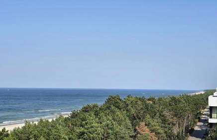 Rogowo Shellter Apartament Premium przy plaży - Foto 49