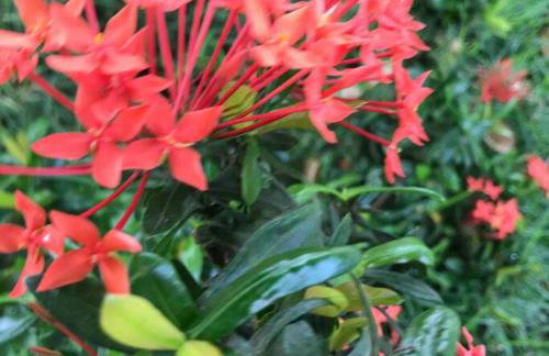 Casa do sossego - Foto 40