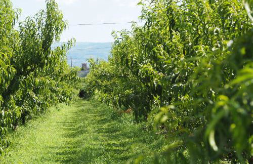 Agriturismo Fior di Maggio - Foto 30
