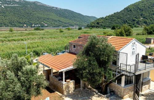 Natur Olive House Ston - Foto 23
