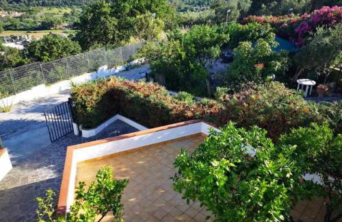 Itaca Rooms Palinuro - Foto 20