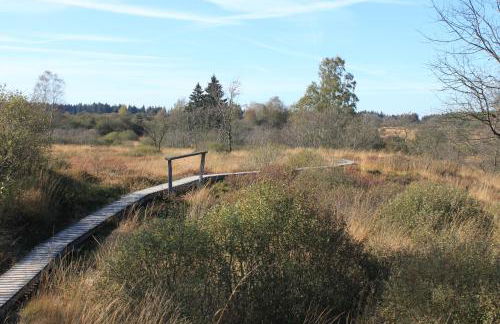 Fewo Waldblick Zweifall - Foto 51