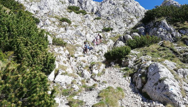 Randonnée privée et moyenne d'une journée dans les Carpates - Photo 4