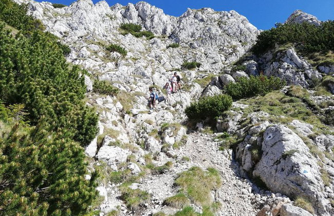 PRIVATE, MEDIUM Day Hike in Carpathian Mountains - Photo 4