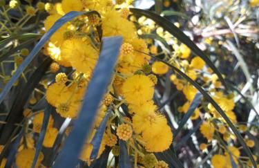 Villa with Private Pool and Gorgeous View - Photo 24