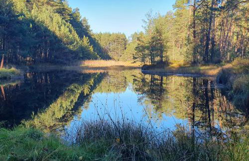 Przestronny, komfortowy dom - Foto 40