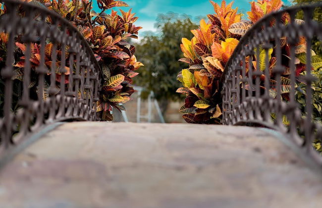 Forget about everything and relax - Foto 43