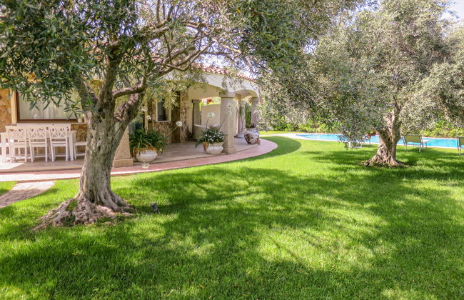 Rei Sole (REI308) - Foto 1