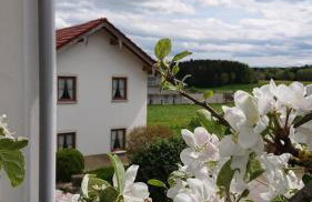 Ferienwohnung Schmied - Foto 10