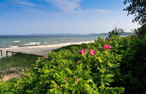 Ferienwohnung Nolte - Foto 19