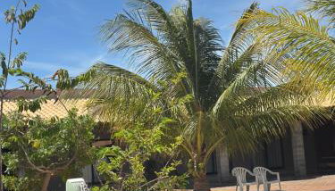 Toca da paz - Foto 2