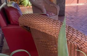 Casa Tropicale House accommodates family and work - Foto 24