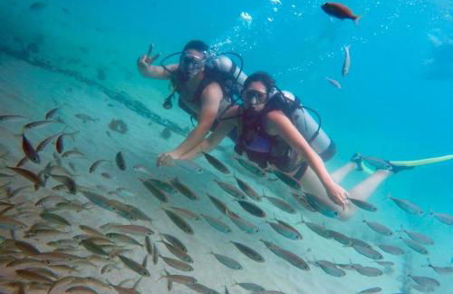 Chalé Paraíso -Maracajaú 4- Casa 38 - Beira-mar - Foto 31