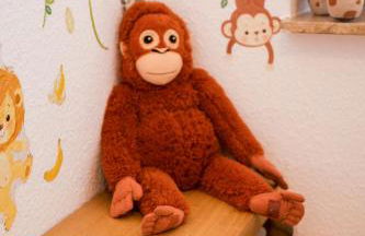 Ferienwohnung Peters (EG) - Foto 25