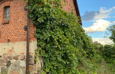 Mlyn Wodny EKO Hillar - Foto 30