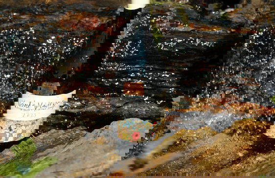 Vinte-Quinta da Boavista - Photo 58