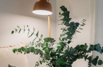 El Molí Nou - Rural flats - Foto 76