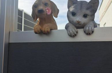 Pension Andrea - Photo 9