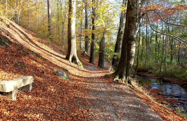 Heritage Villa With Home Cinema, Sauna - Foto 36