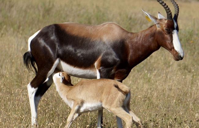 Kwetu Guest Farm - Photo 55