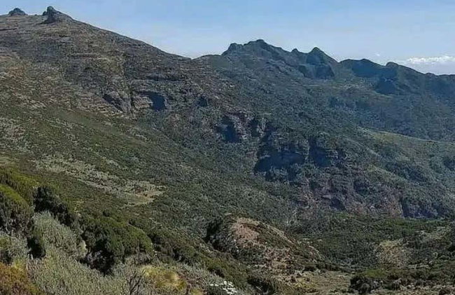 Trilha pela floresta de Kimakia - Foto 6