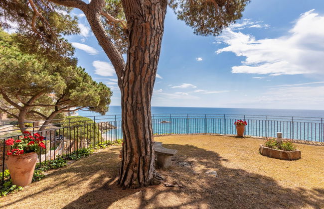 Cavall Bernat - Foto 19