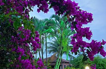 IlhabelaSul - Foto 74