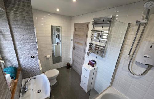 The Mountain Lake - Foto 11