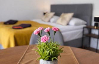 Apartamenty Nad Pilicą - Klimatyzacja - Sulejów - Foto 64