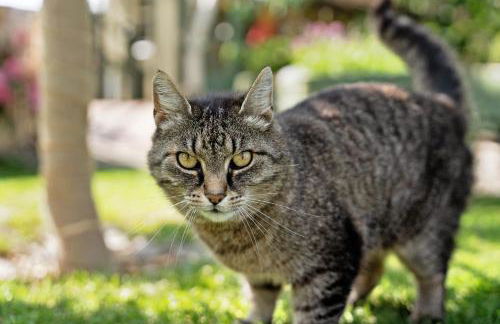 Ferienwohnung - Arzgebirg - Foto 26