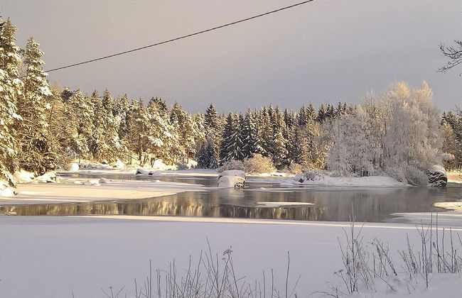 Huvila ferdinand - Photo 1