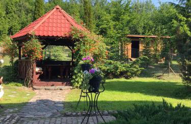 Agroalpaka Mazury - Foto 37